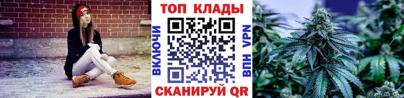 Продажа наркотиков Вологда КОКАИН  Альфа ПВП  Галлюциногенные грибы  Мефедрон  Бошки Шишки 