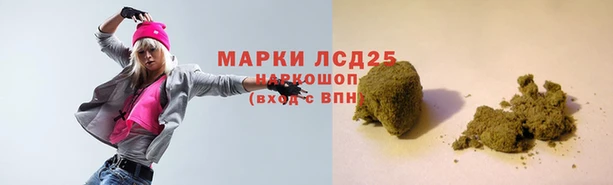 шишки Семикаракорск