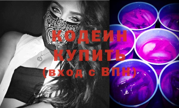 хмурый Семилуки