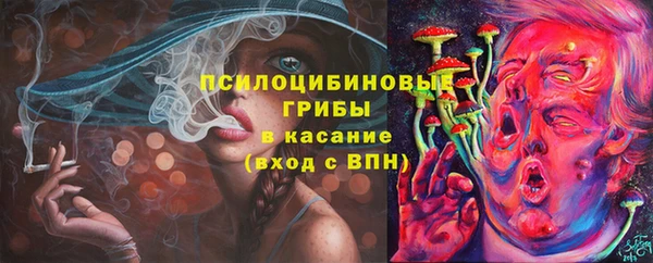 MDMA Бородино