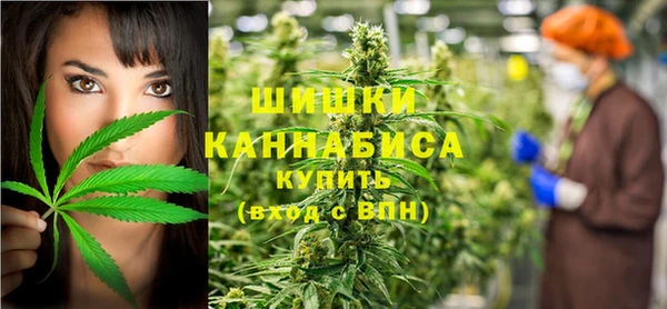 дмт Бронницы
