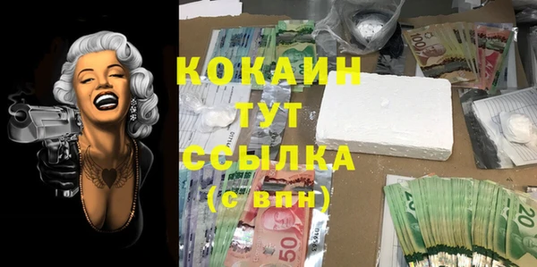 дмт Бронницы