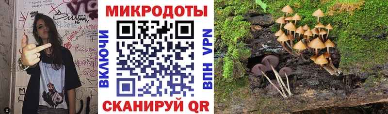 Галлюциногенные грибы Psilocybe  Вологда 
